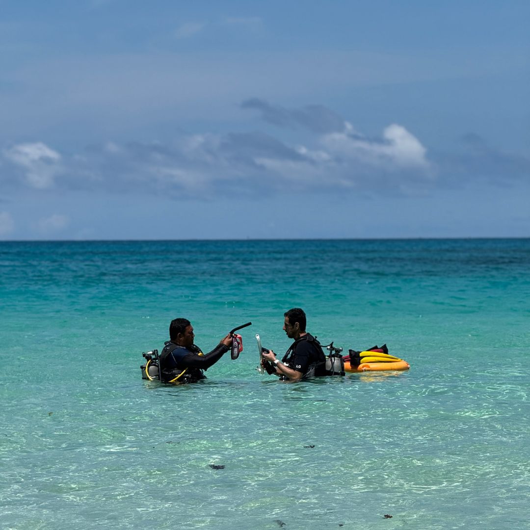 PADI Open Water Diver Course