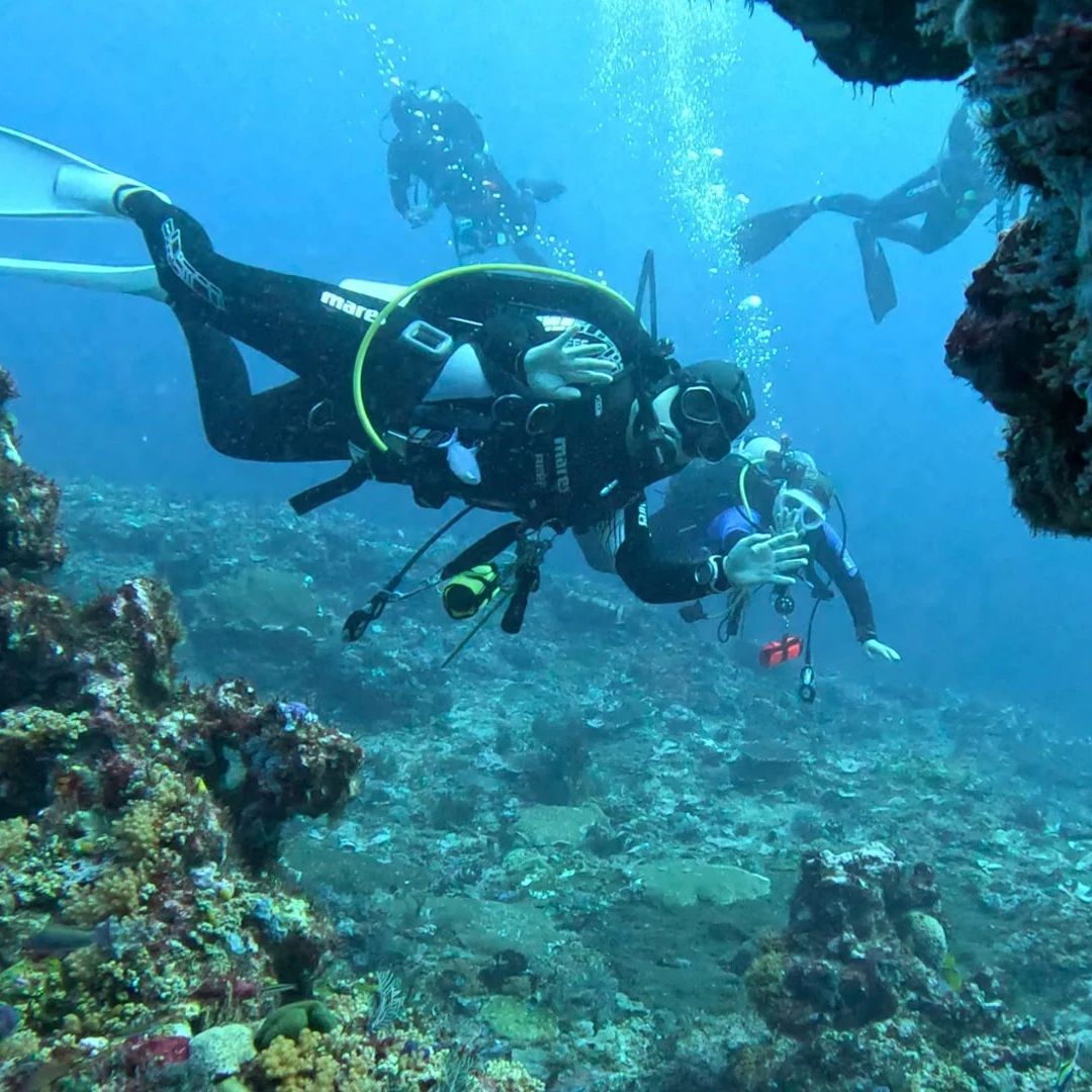 Komodo National Park Scuba Diving Exclusive Liveaboard