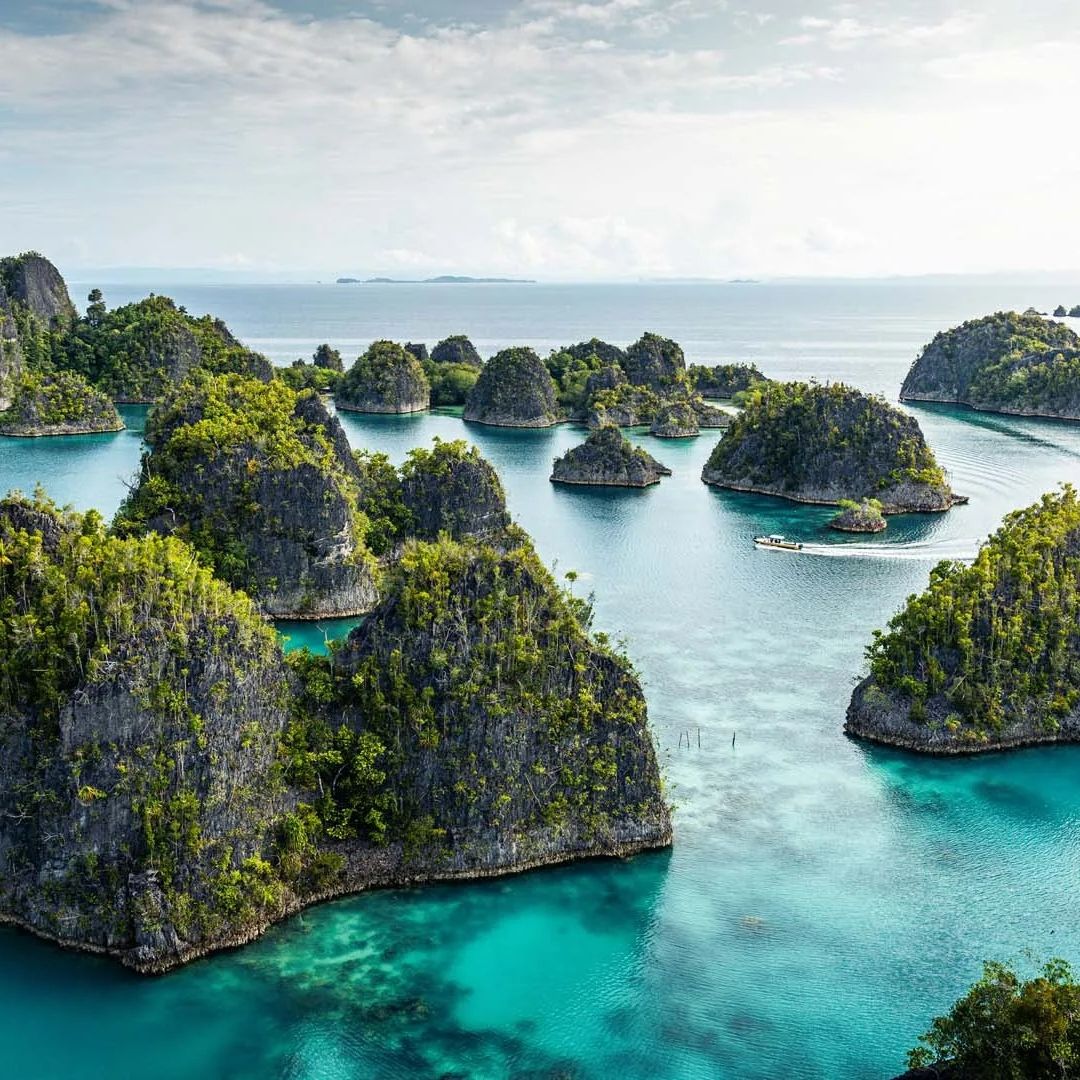 Komodo National Park Scuba Diving Exclusive Liveaboard