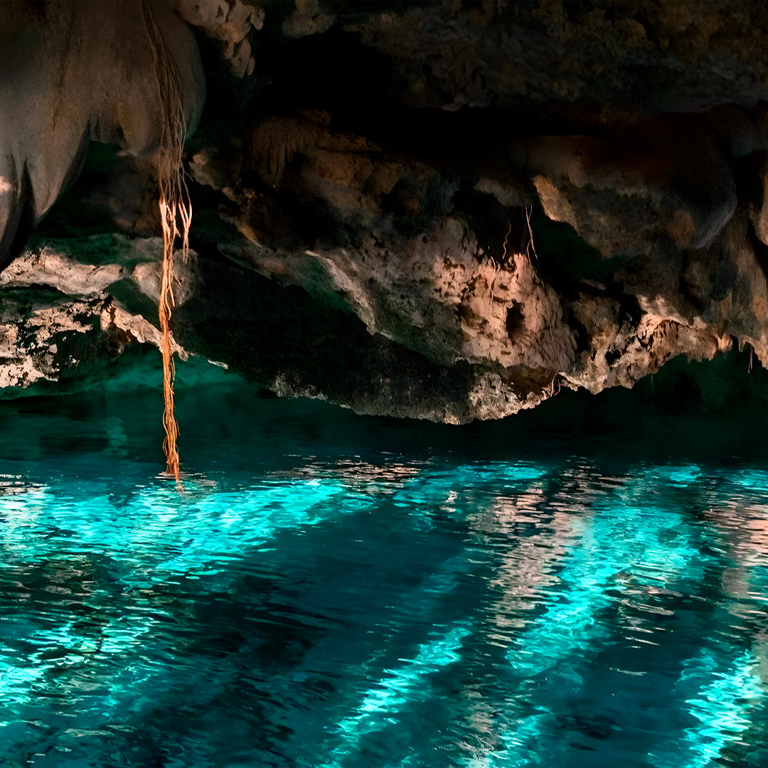Discover Cenote Freediving Trip