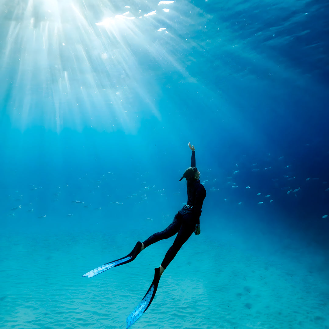Sydney SSI Level 1 Beginner Freediving Course