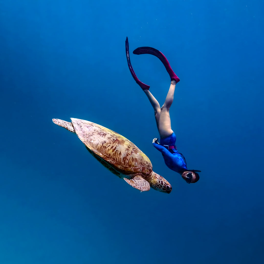 Sydney SSI Level 1 Beginner Freediving Course