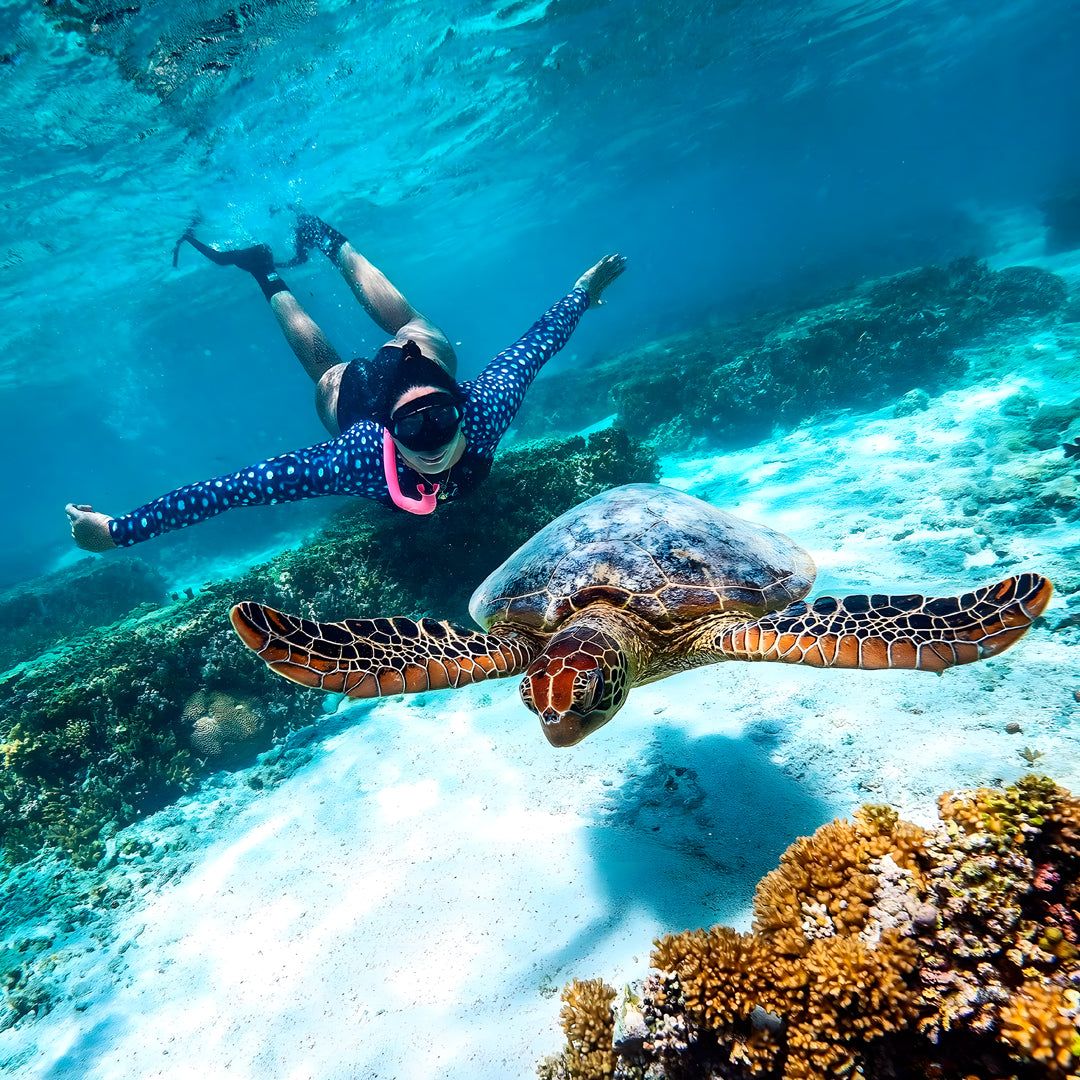 Sydney SSI Level 1 Beginner Freediving Course