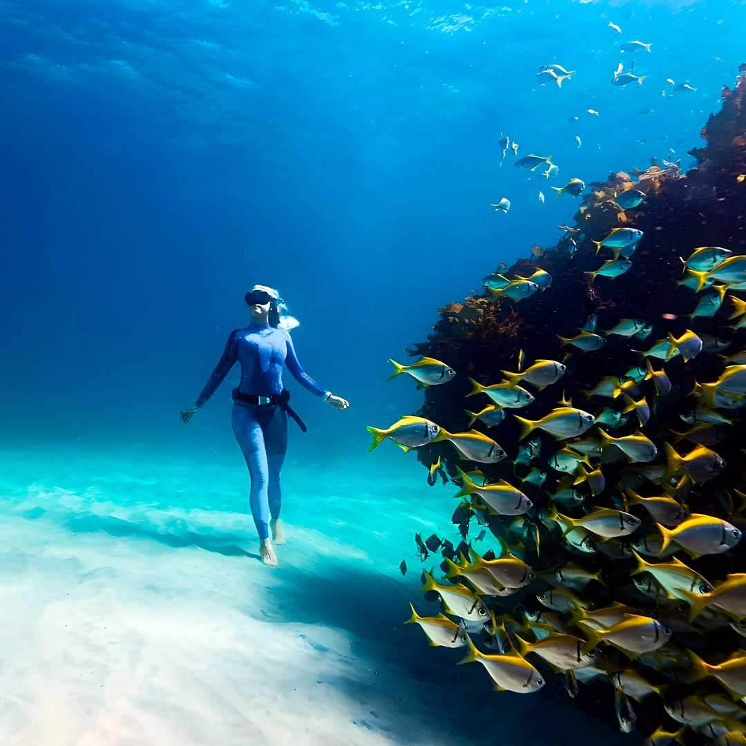 Sydney SSI Level 2 Advanced Freediving Course