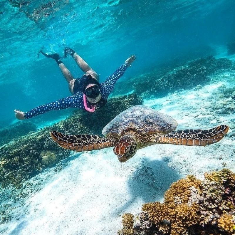 Manly Discovery Freediving Experience