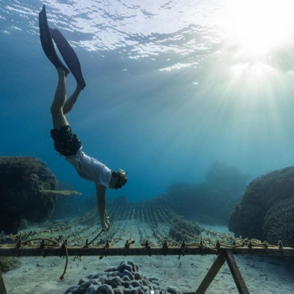 Freediving Fiji Trip