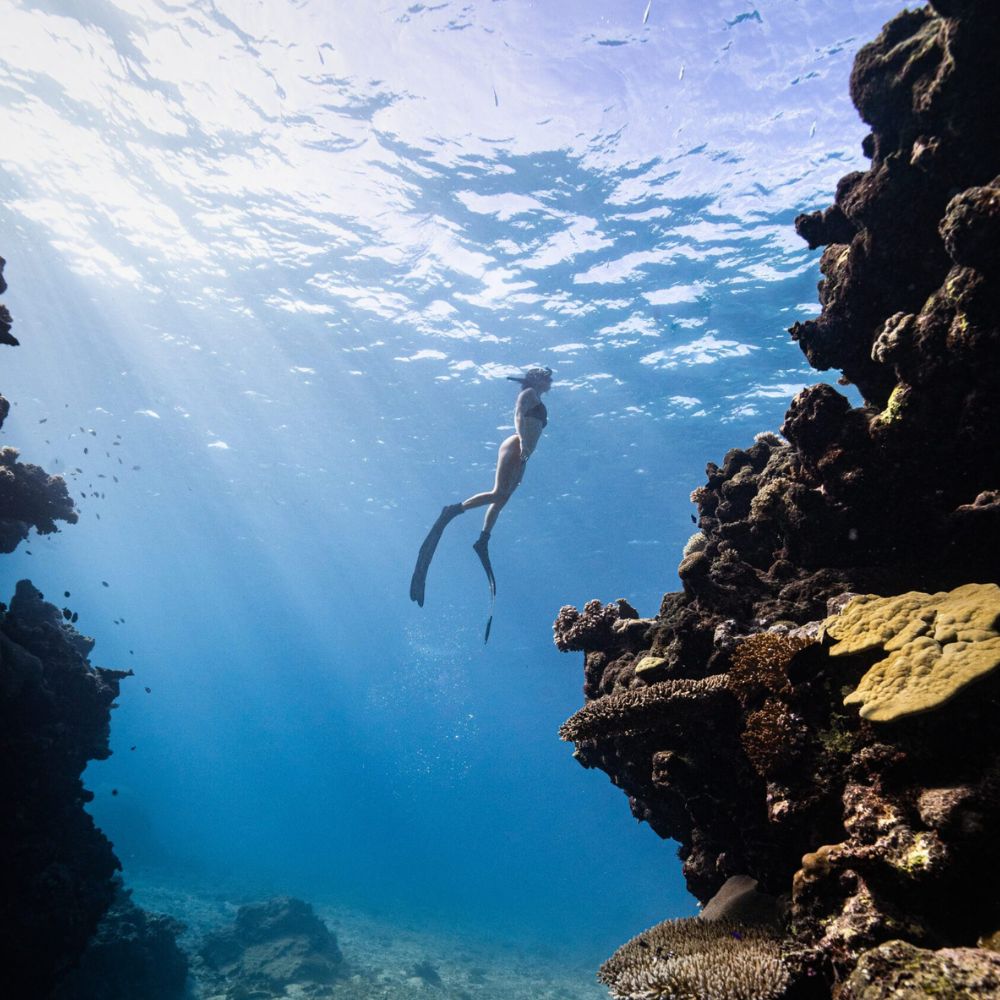 Freediving Fiji Trip