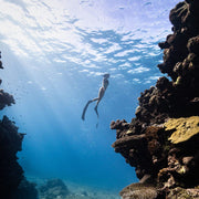 Freediving Fiji Trip