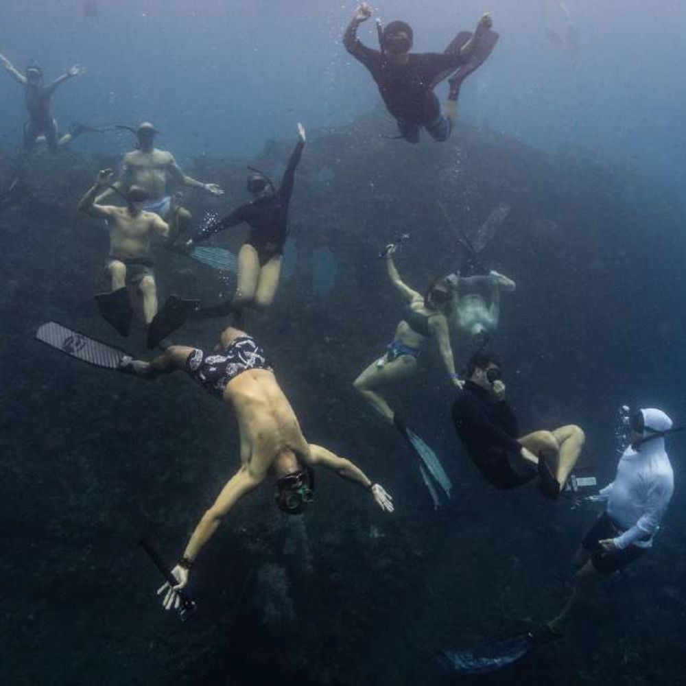 Freedive Mexico Mobula Rays Migration