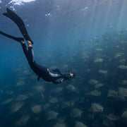 Freedive Mexico Mobula Rays Migration