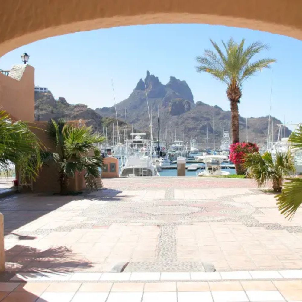 Mexico Sardine Run Freediving Trip