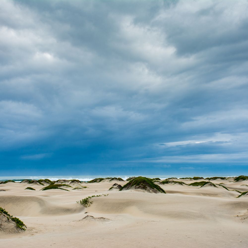 Mexico Sardine Run Freediving Trip