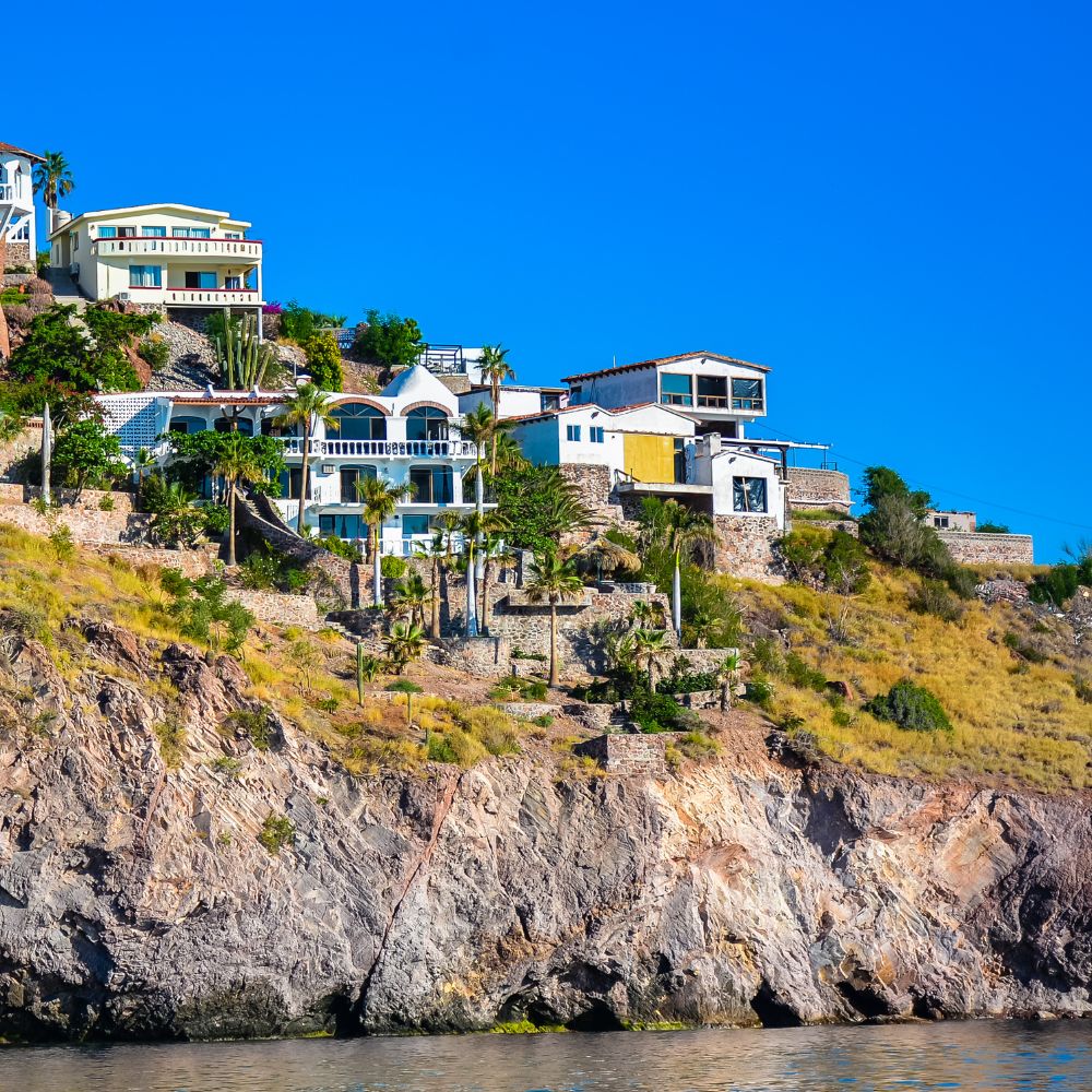 Mexico Sardine Run Freediving Trip