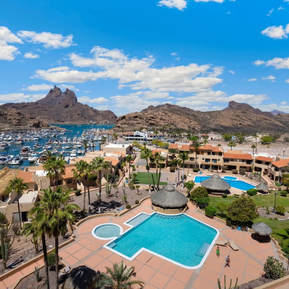 Mexico Sardine Run Freediving Trip