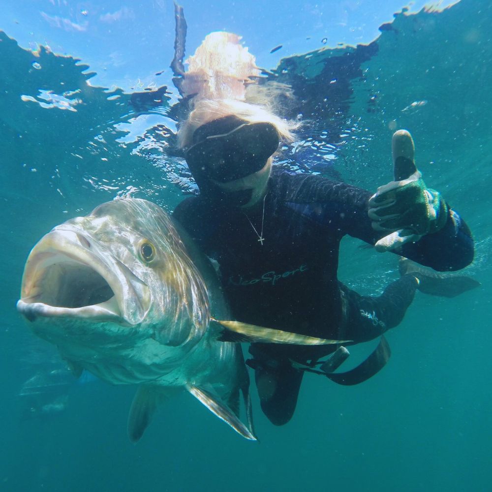 Beginner Spearfishing Course
