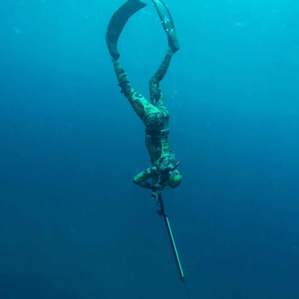 Beginner Spearfishing Course