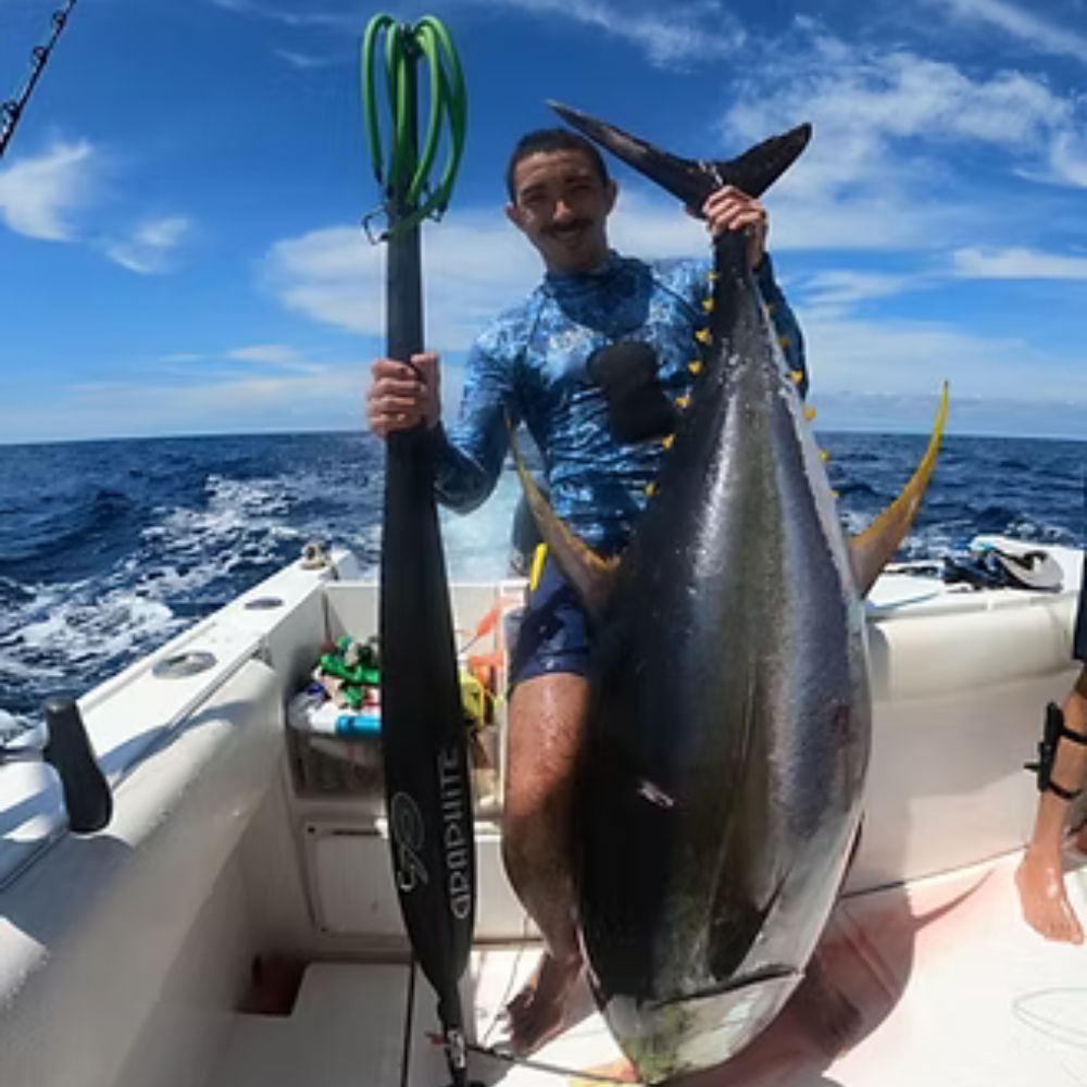 Beginner Spearfishing Course
