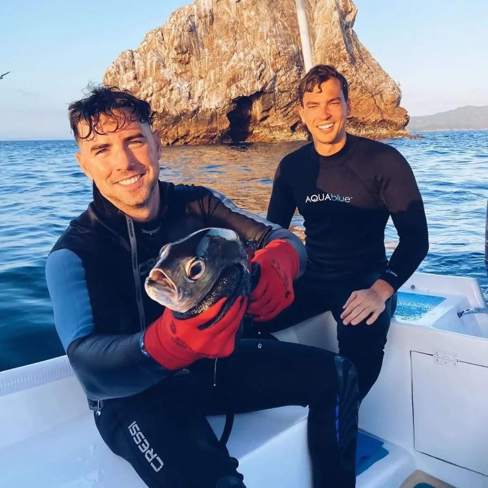 Beginner Spearfishing Course