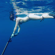 Beginner Spearfishing Course