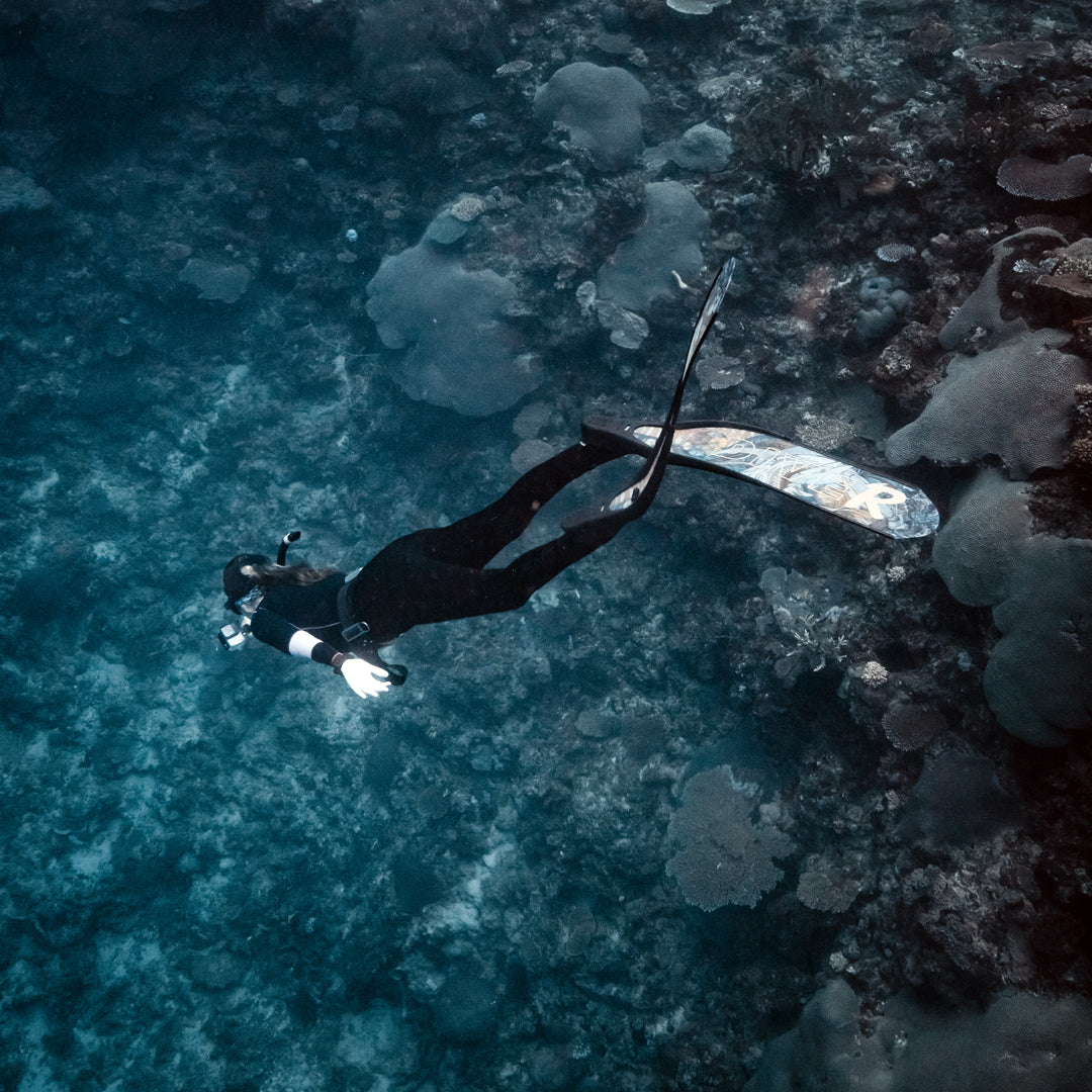 Freediving Fiji Trip Freediving Central