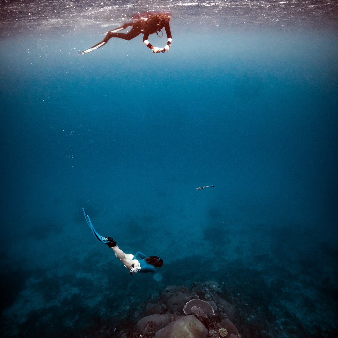 Freediving Fiji Trip Freediving Central