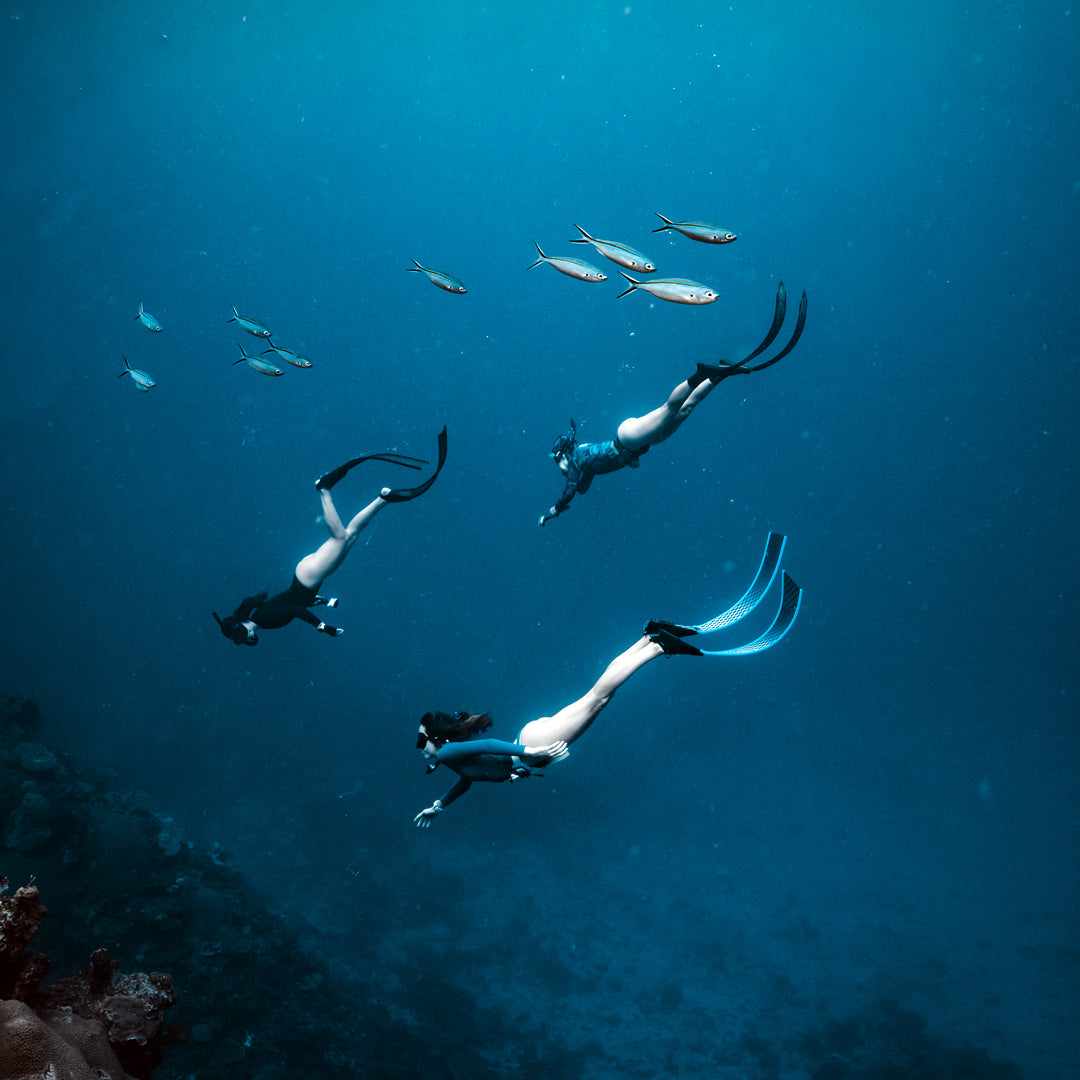 Freediving Fiji Trip Freediving Central