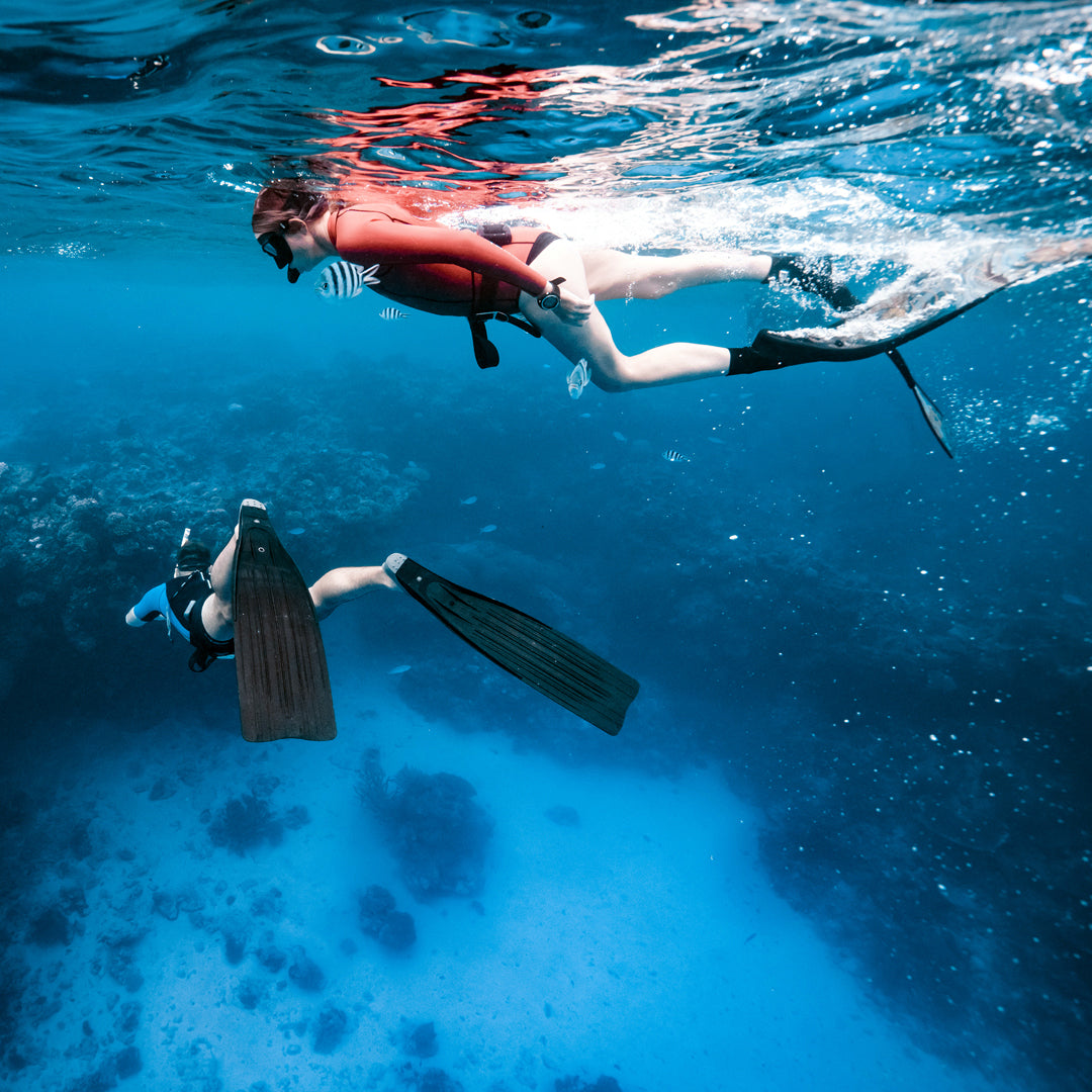 Freediving Fiji Trip Freediving Central