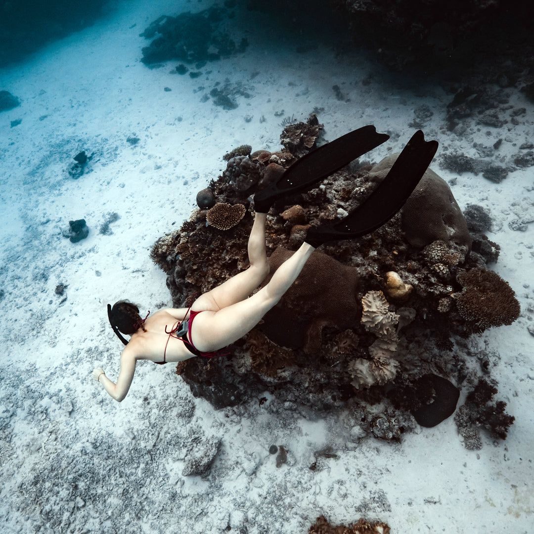 Freediving Fiji Trip Freediving Central