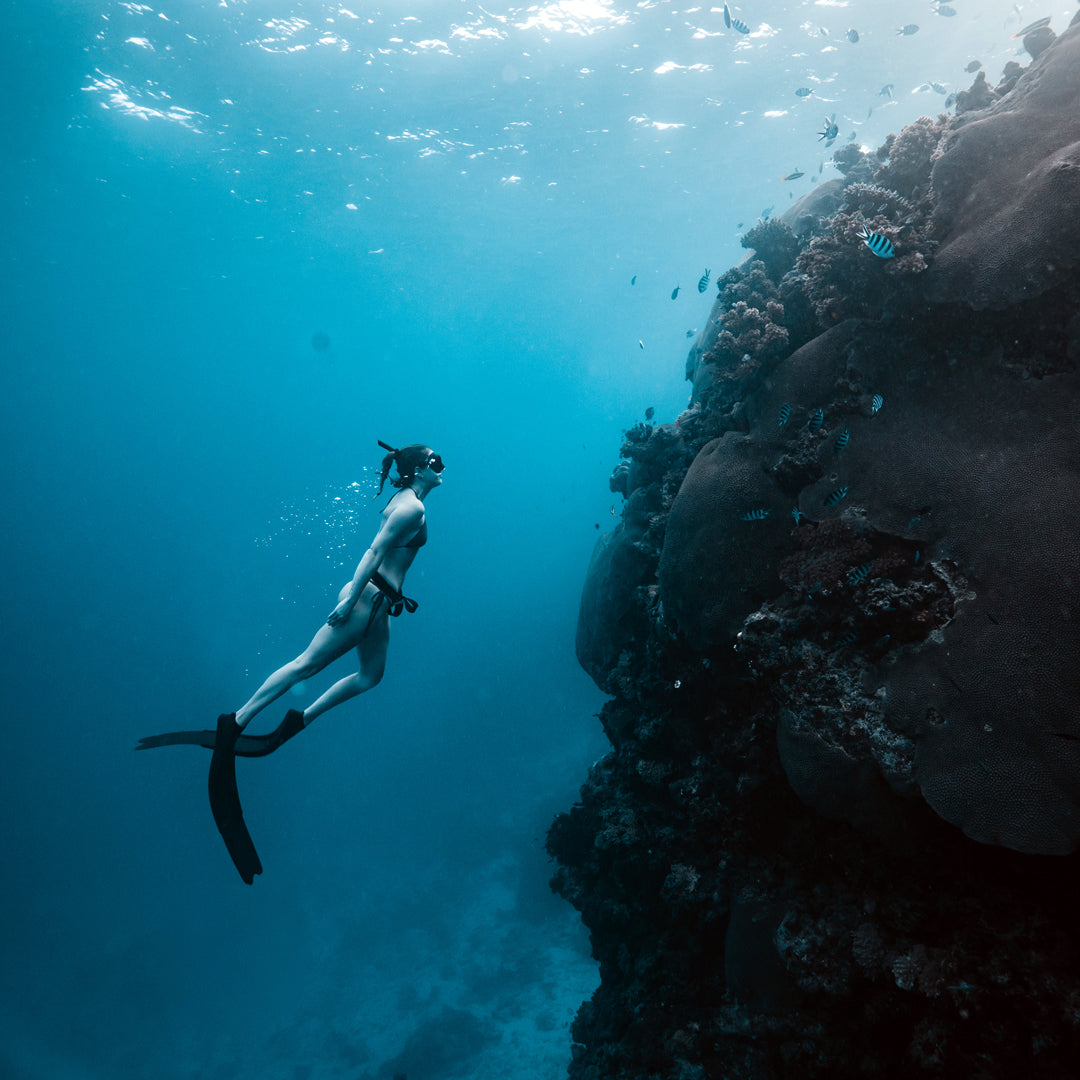 Freediving Fiji Trip Freediving Central