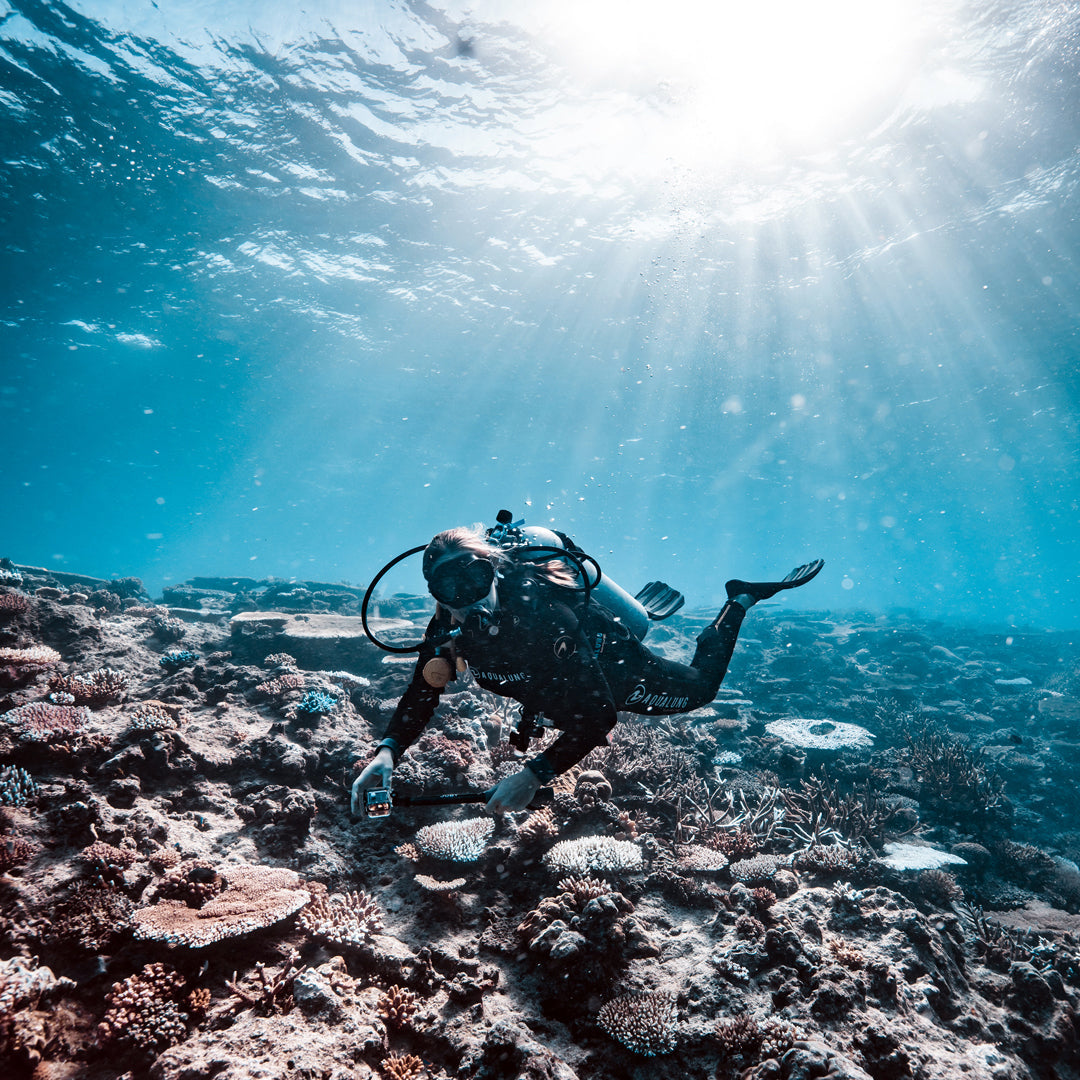 Freediving Fiji Trip Freediving Central