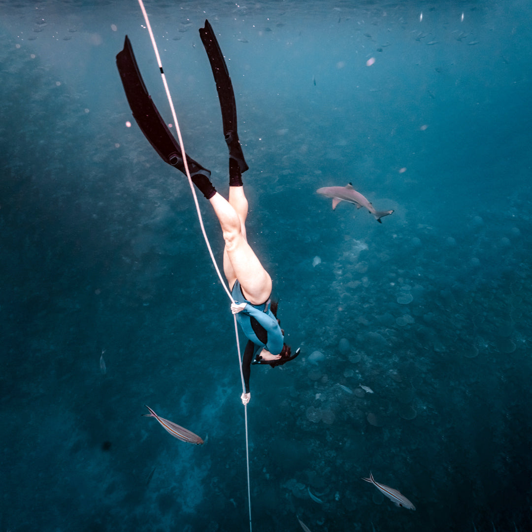 Freediving Fiji Trip Freediving Central