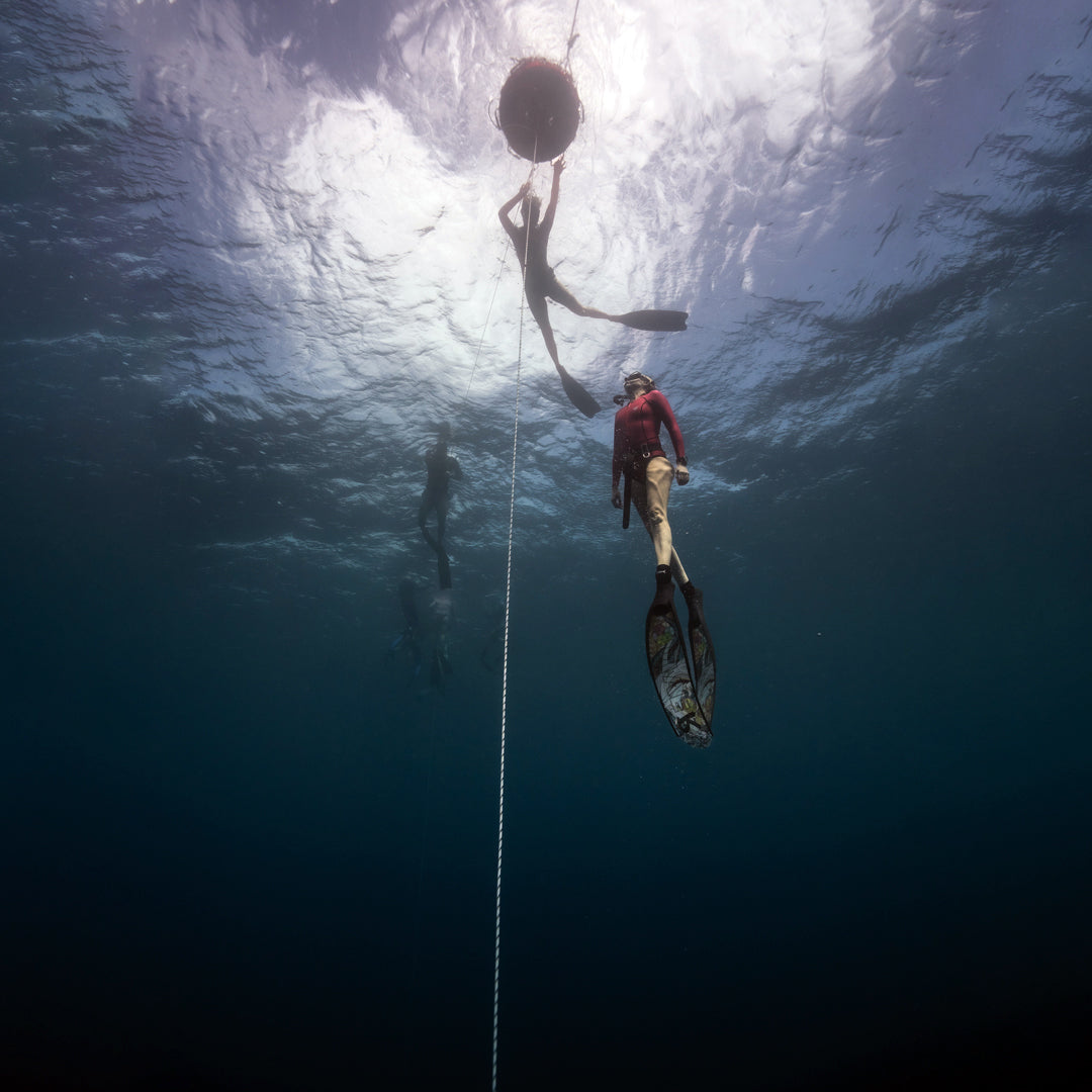 Freediving Fiji Trip Freediving Central