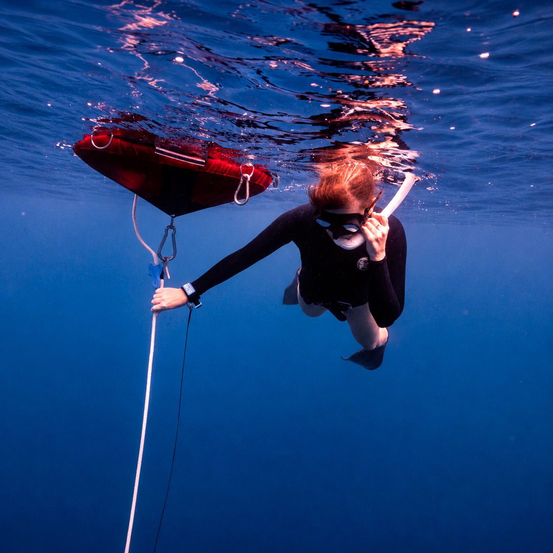 Freediving Fiji Trip Freediving Central