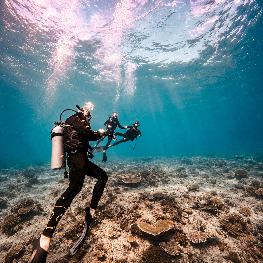 Freediving Fiji Trip Freediving Central