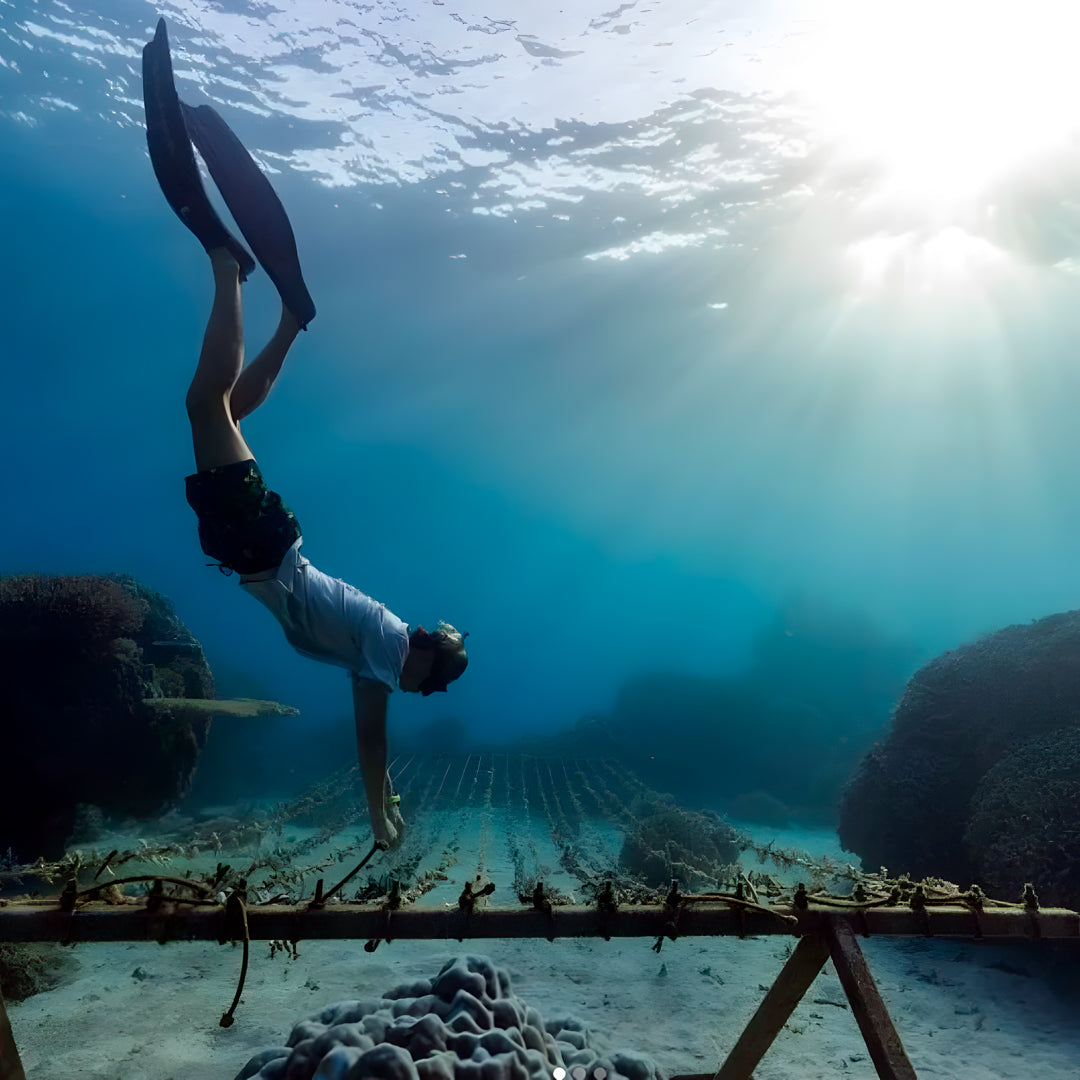 Freediving Fiji Trip Freediving Central
