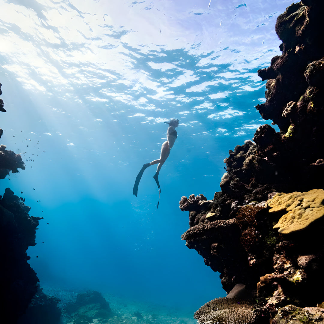 Freediving Fiji Trip Freediving Central