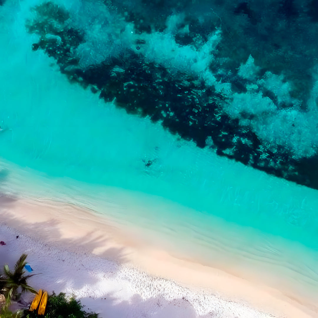Freediving Fiji Trip Freediving Central