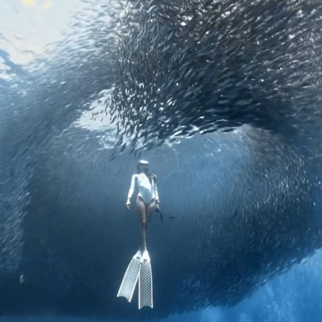Boracay Advanced Freediver Course