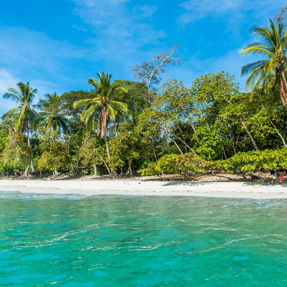 Master Freediving Program