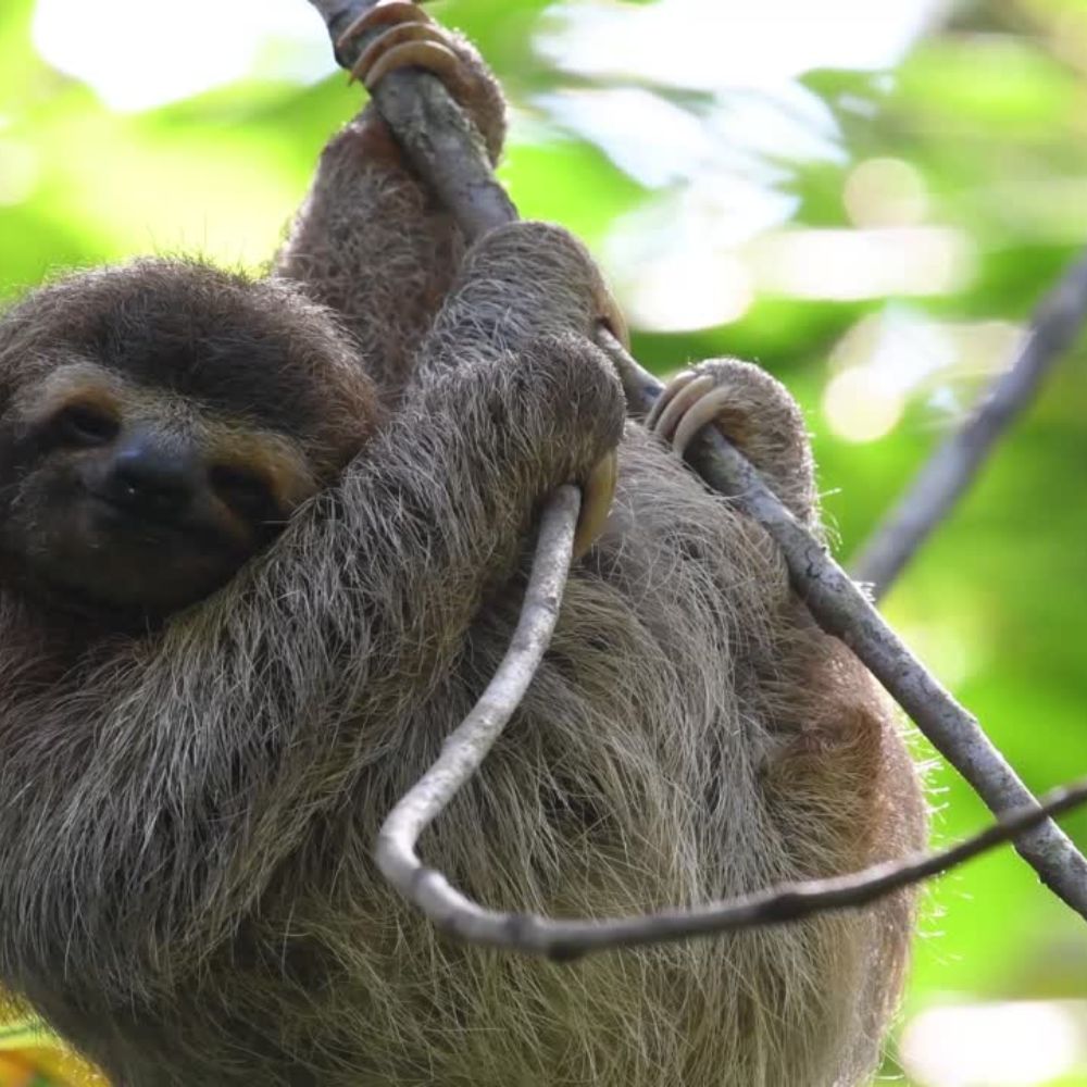 AIDA Freediving Instructor Course