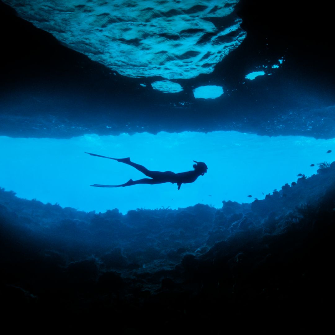 Caribbean Freediving Liveaboard