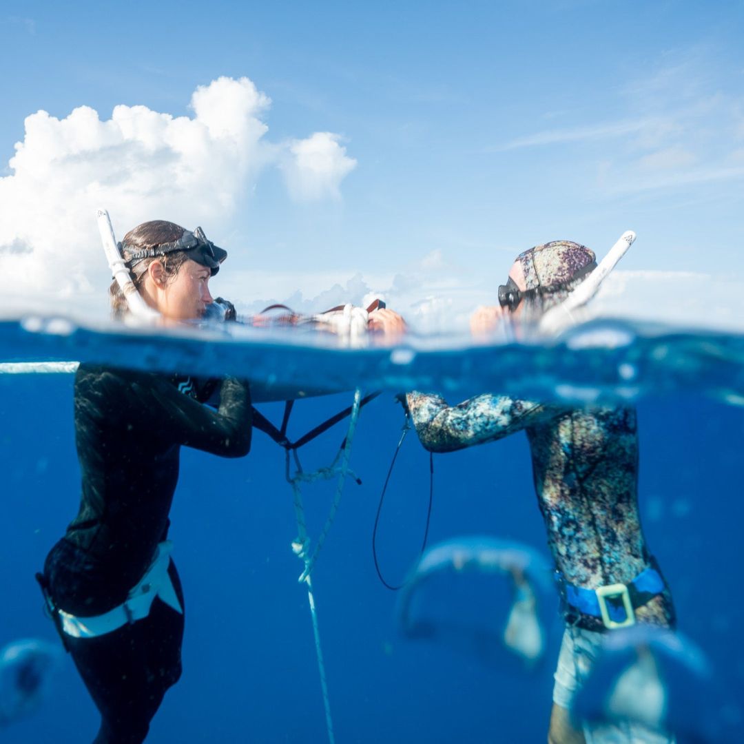Shipwreck Beginner Freediving Course Freedive Key West