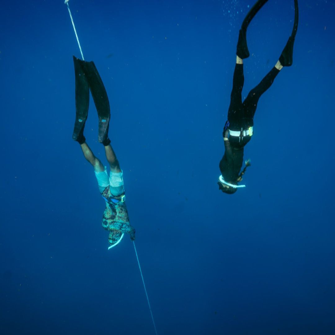 Shipwreck Beginner Freediving Course Freedive Key West