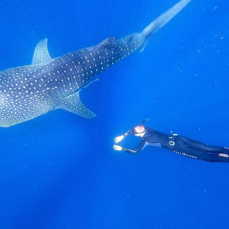 Madagascar Freediving Liveaboard