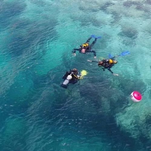 Madagascar Freediving Liveaboard