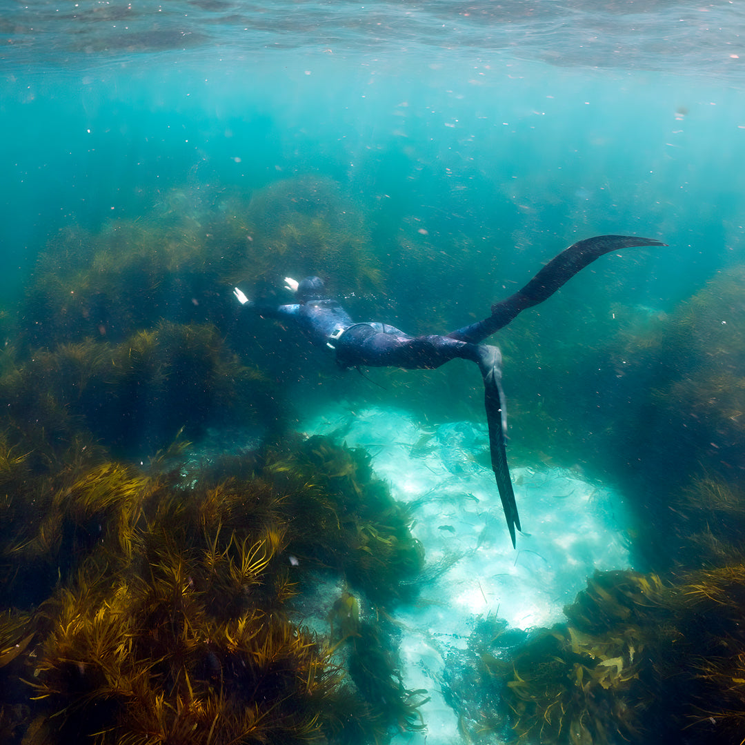Bicheno Freediving Beginner Course