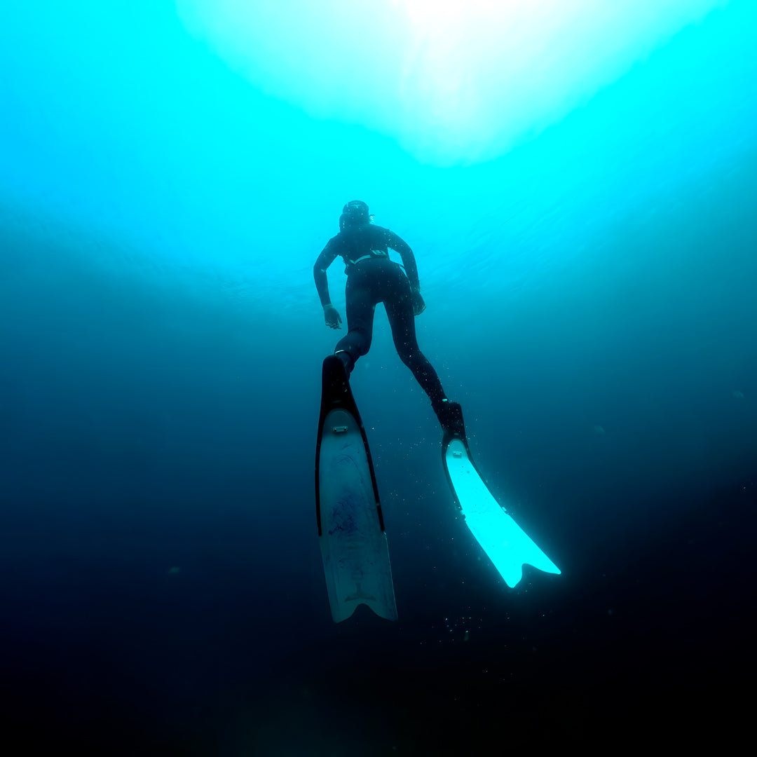 Freediving Beginner Course