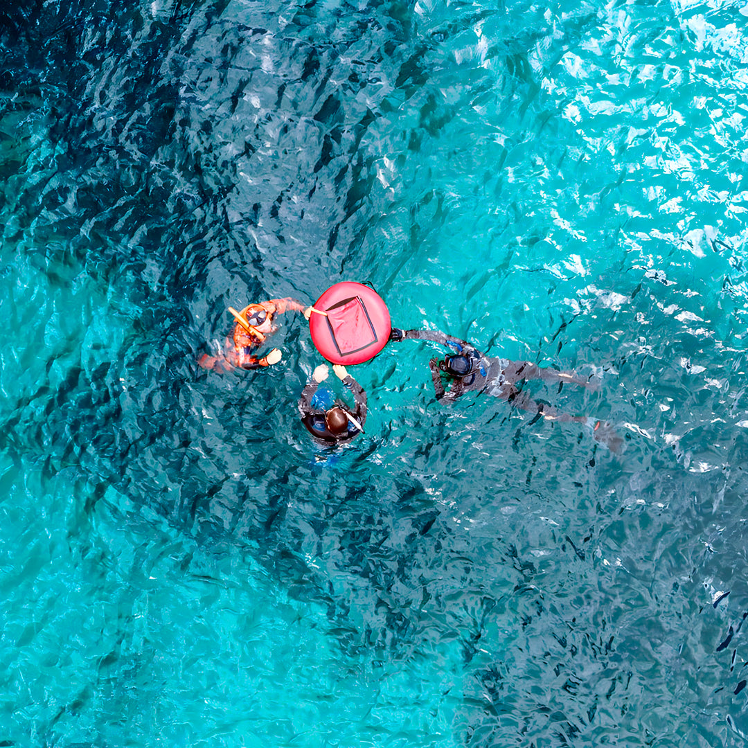 Bicheno Freediving Beginner Course