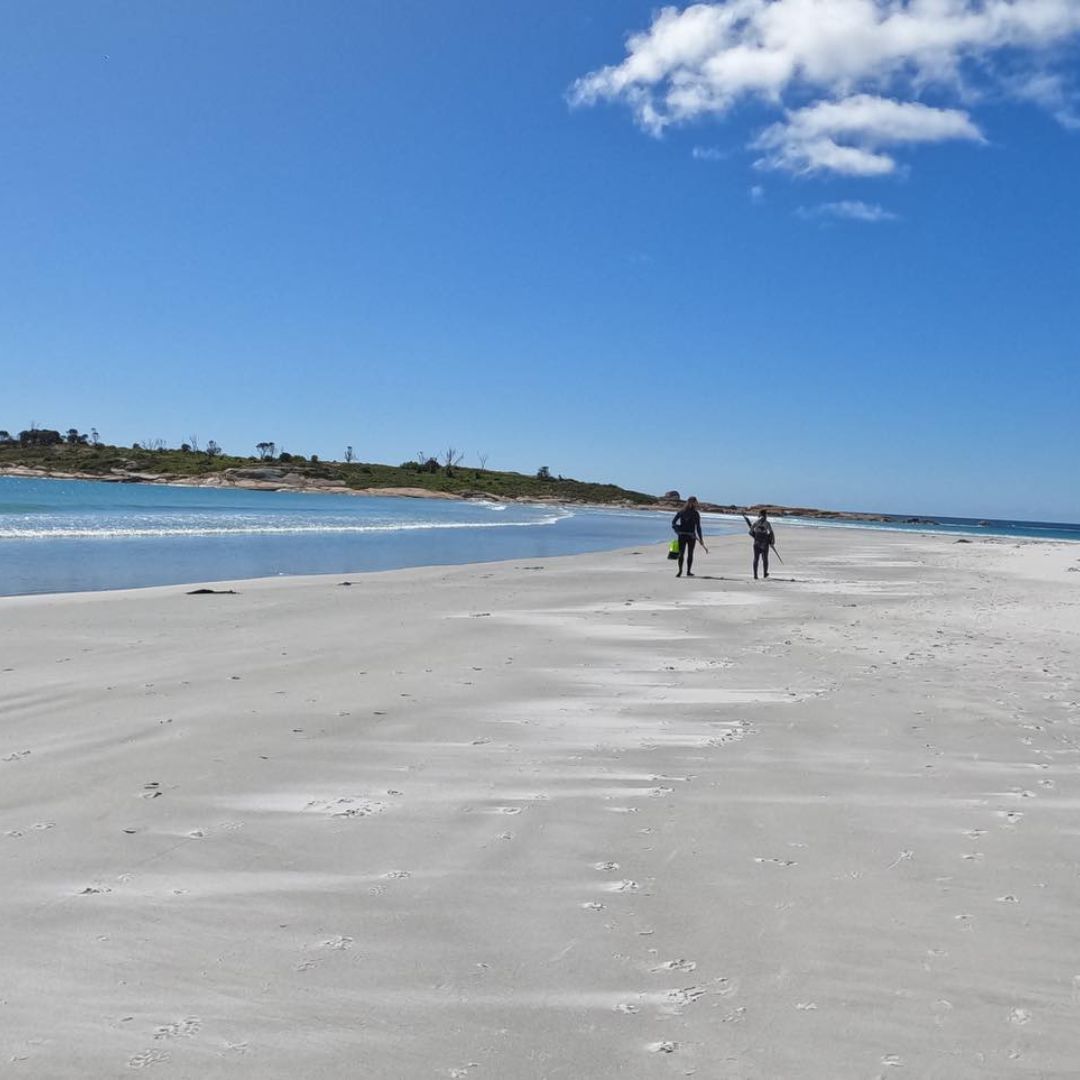 Tasmania Spearfishing and Freediving Course