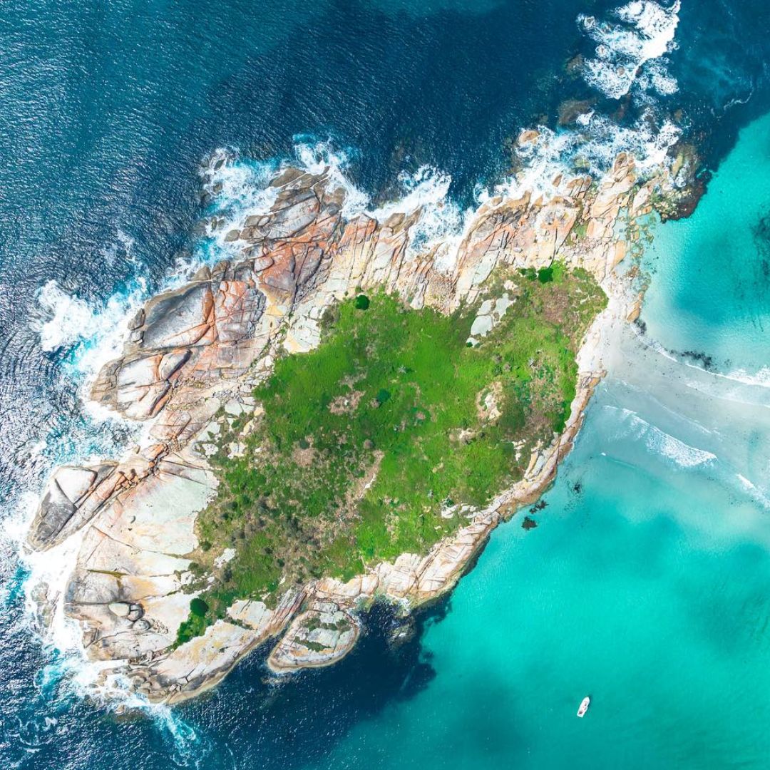 Tasmania Spearfishing and Freediving Course